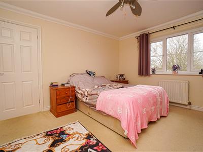 Picture 21